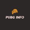 PUBG INFO