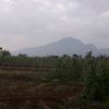 bilqis.shagiri