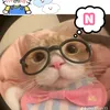 vtln_nqujt.ieyt