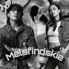 mlsfnd_fm