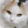 __6481