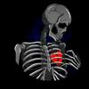 zidan00005