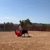 alpusi2.0