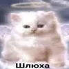 userjonah_13