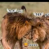 ahmdalhmad14
