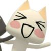 krajjxzzwq_