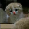 maria.ramrez4222