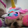 emi_156.h