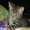 jake.08080