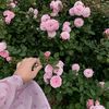 yasmine86918