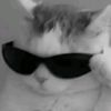itts_anny_2012