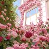 sunshine_80808