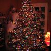 TheFestive.Feed