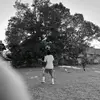 wxli4n_th