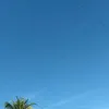joamadesouzasoare