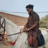 kashif.gill8669