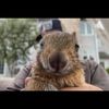 sandysquirrel67