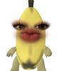 iniiayaaaaaaa__