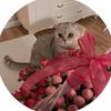 malakmohamed_629