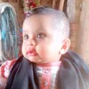 pakistanicalch7