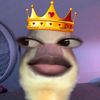 xqzyt1
