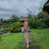 mamaadityaandina
