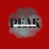 peakmedia.agency