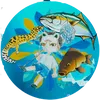rsktvfo