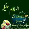 shehad224