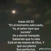 pinto55558