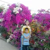 cuc.luu05