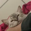fernaxgbpwx