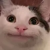 mig_hiew