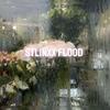 stlingxx_flood