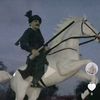 zwarshah838