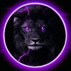 .dawood.king2