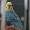 lennart_10lr