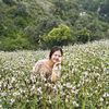 noondao6