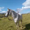 marcelojunior2184