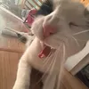 aduszka0