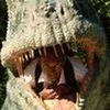 user066231983
