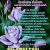 siangaslaut