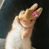 user_ziena7