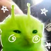 euseilaporra0