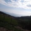 saidbou109