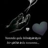 havin.mpw1