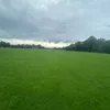 ollie_mcglone11