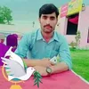 zubairhayat163