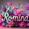 romi_2017m