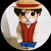 jasonmoza
